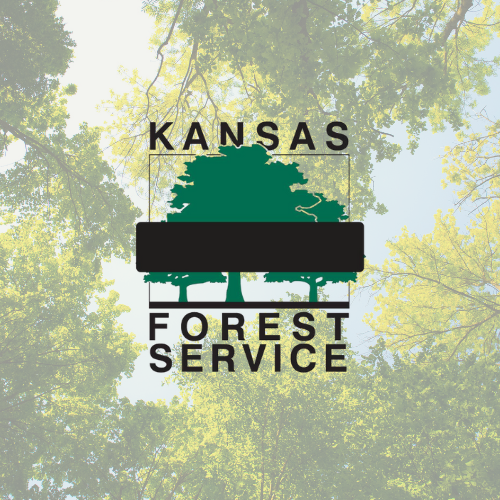 Kansas Forest Service Begins  Tree Inventory in McPherson