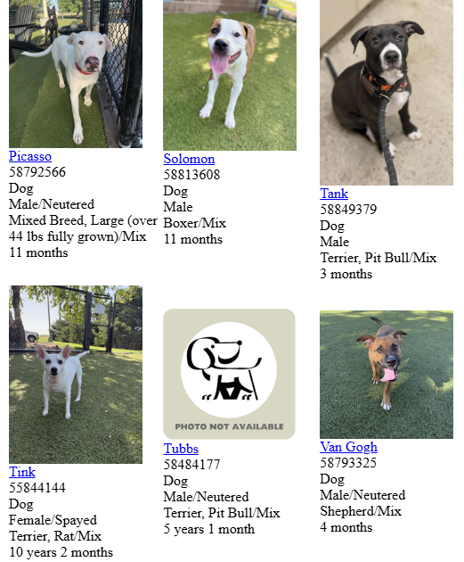 Hutchinson Animal Shelter offers reduced adoption fees through July 17