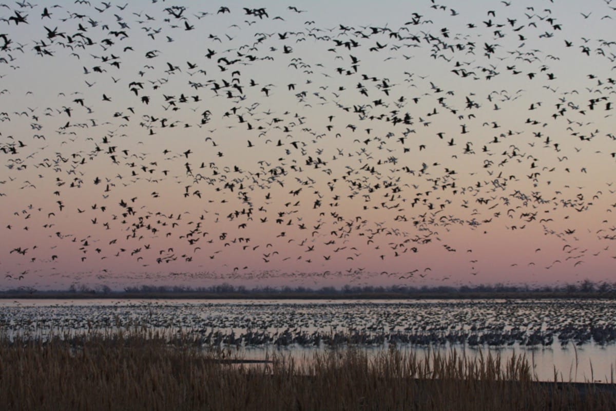 Top 5 Kansas news stories