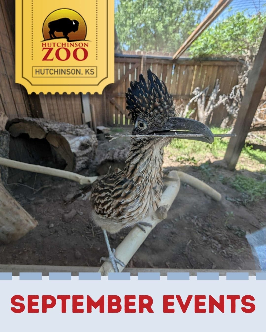 Hutchinson Zoo Announces September Programming for All Ages