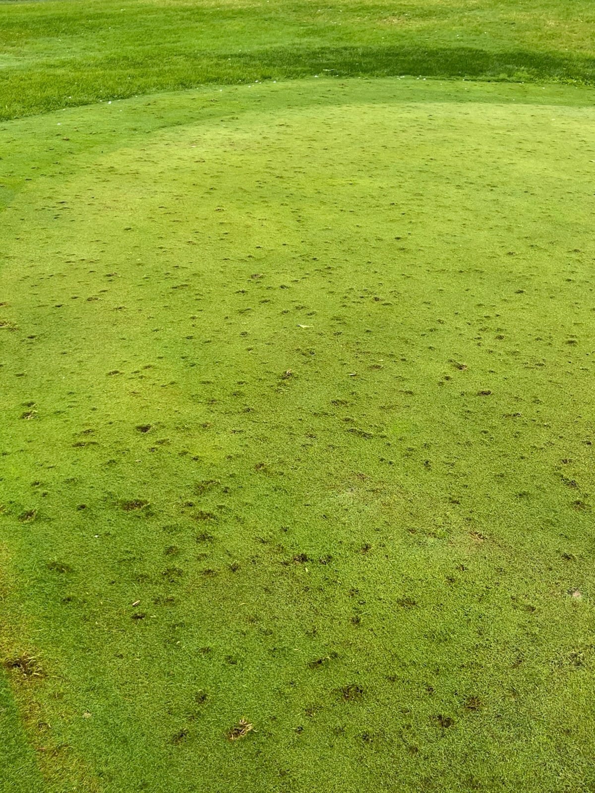 Turkey Creek Golf Course Seeks Volunteers After Hail Damage
