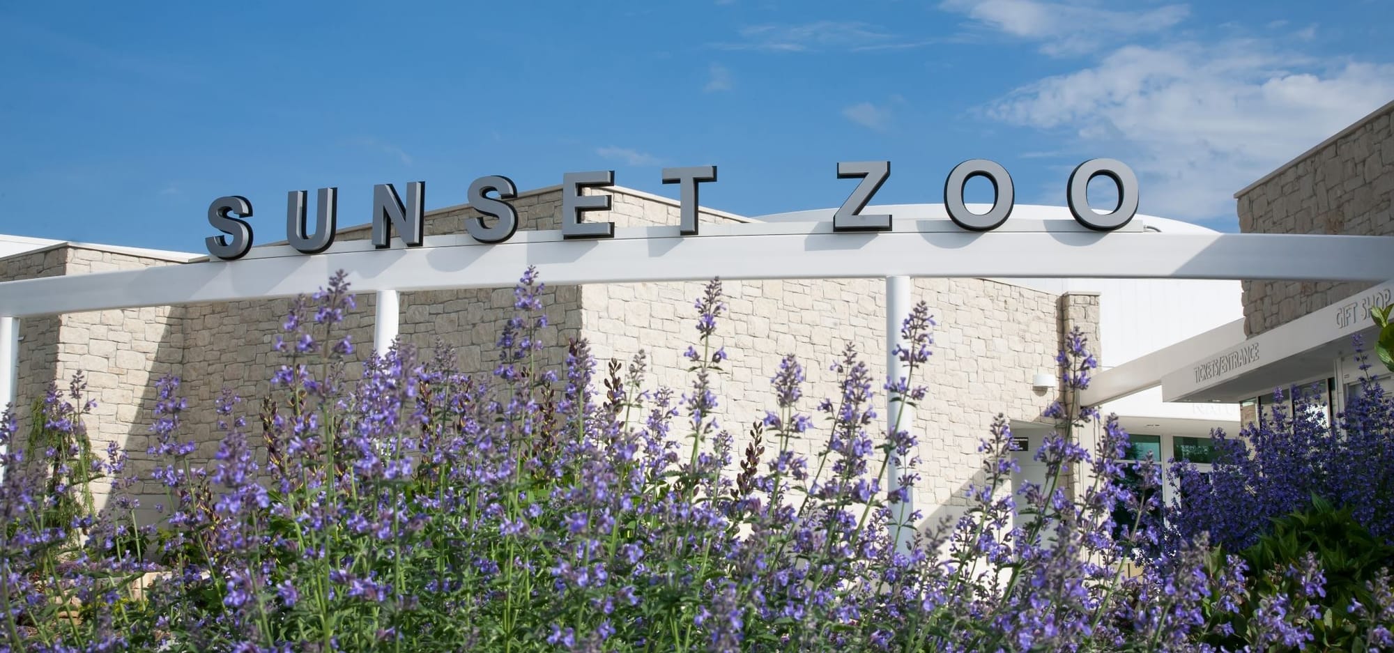 Sunset Zoo says goodbye to Susie, oldest female chimpanzee in human care