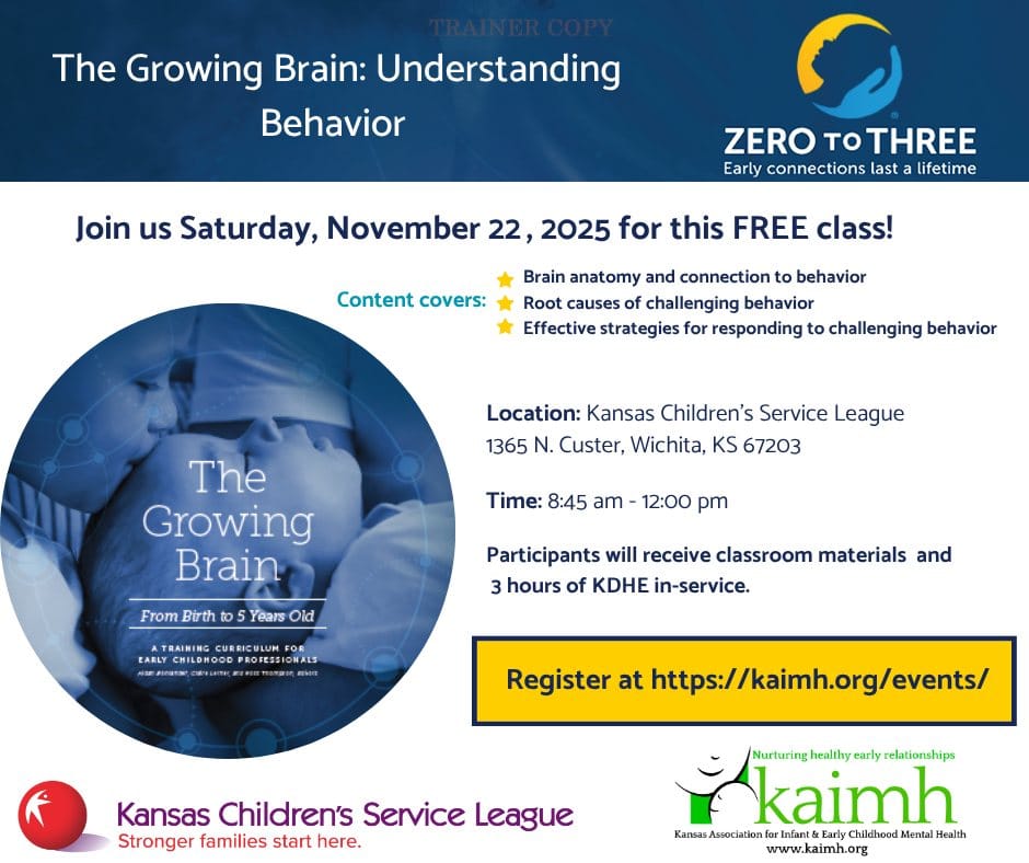Child care professionals invited to free brain development class in Wichita