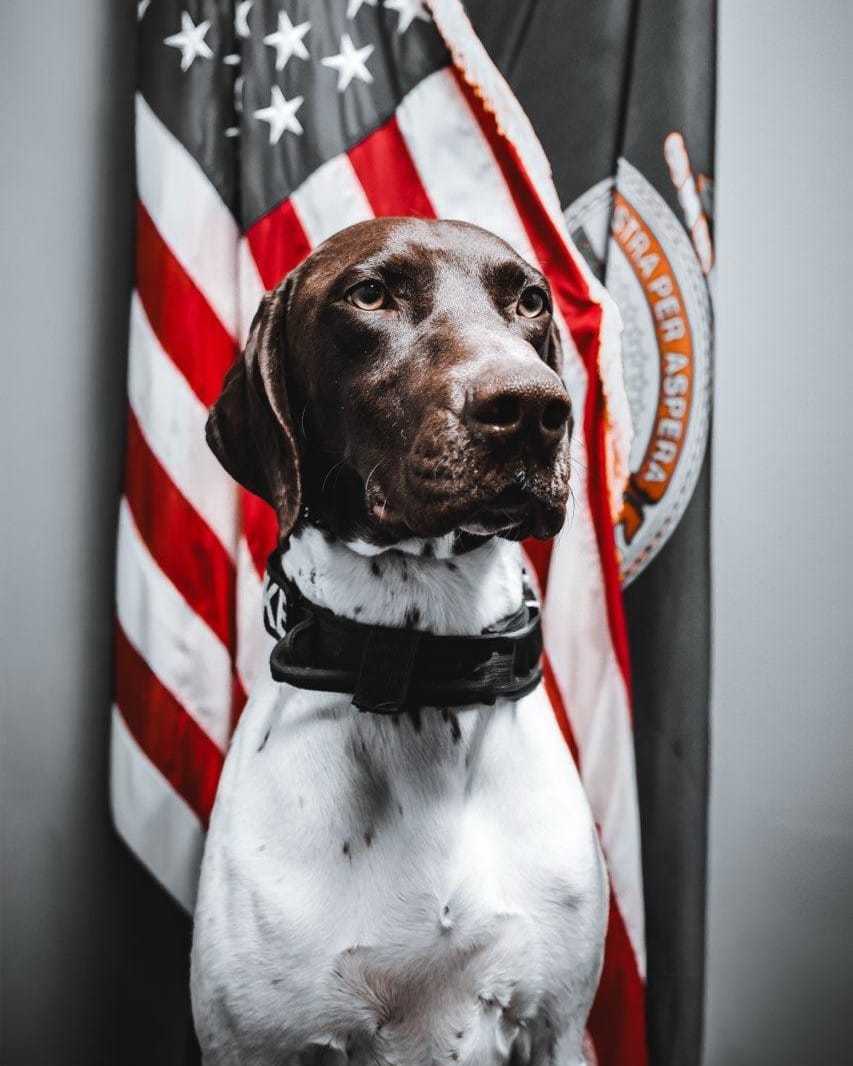 Hutchinson Police Department welcomes K9 Strike to force