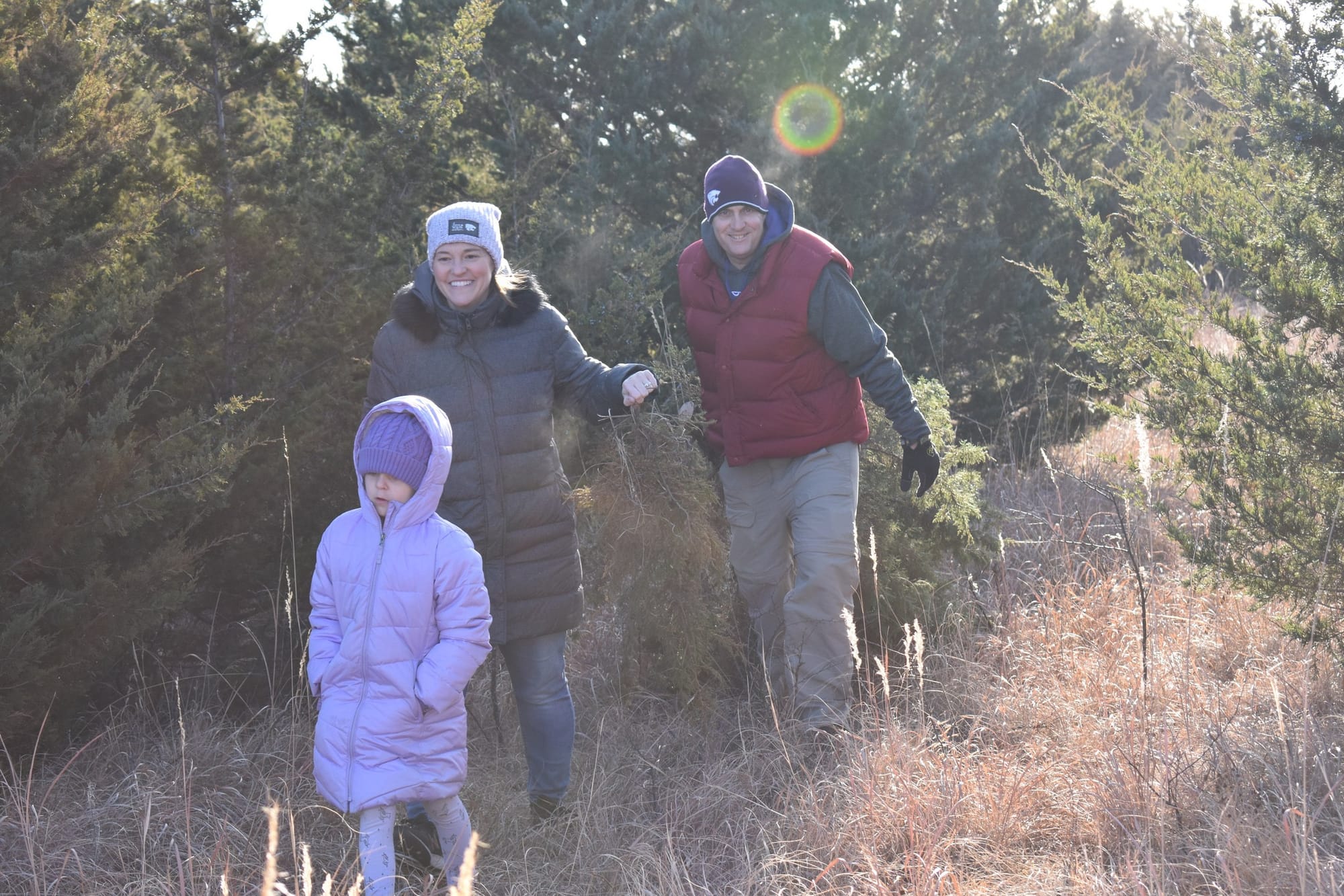 Manhattan City Digest