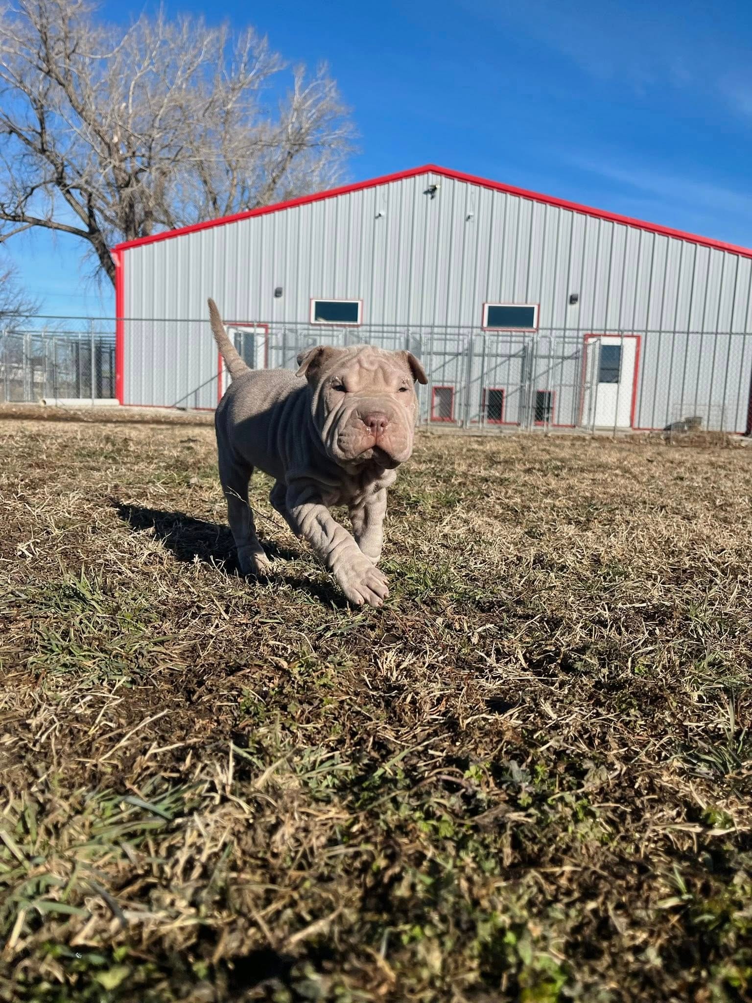 McPherson Pet Resort Permanently Closes
