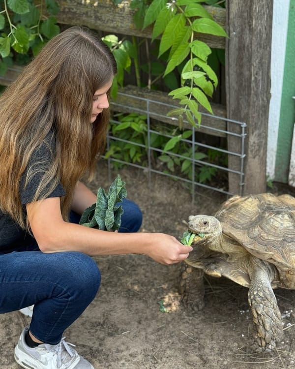Mentoring Program Volunteers Support Hutchinson Zoo Conservation Efforts
