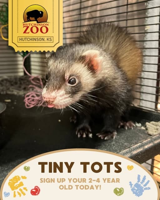 Hutchinson Zoo Promotes Friendship Membership, Announces Toddler Programs