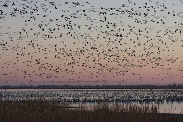 Top 5 Kansas news stories