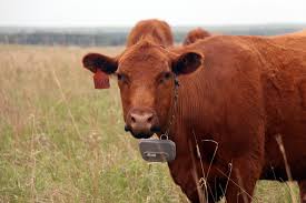 Top 5 Kansas news stories