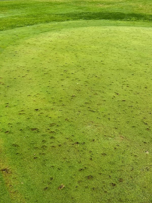 Turkey Creek Golf Course Seeks Volunteers After Hail Damage