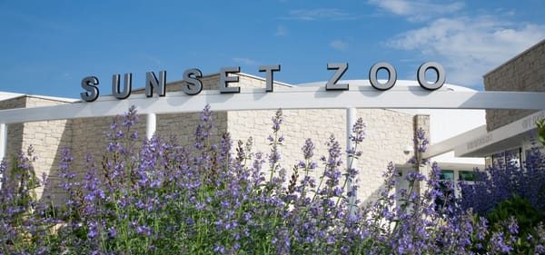 Sunset Zoo says goodbye to Susie, oldest female chimpanzee in human care