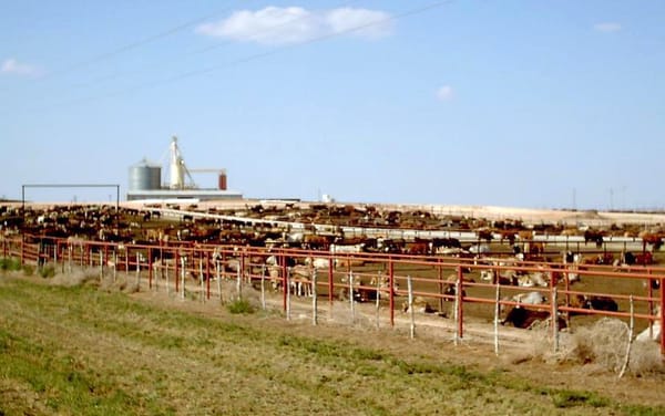 Top 5 Kansas news stories