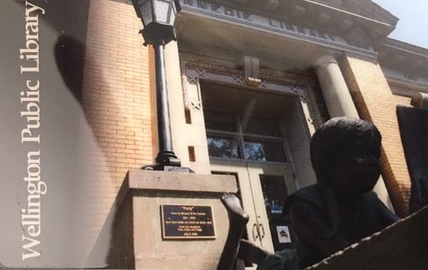 Dignity and necessity: Wellington library addresses hidden crisis of hygiene poverty