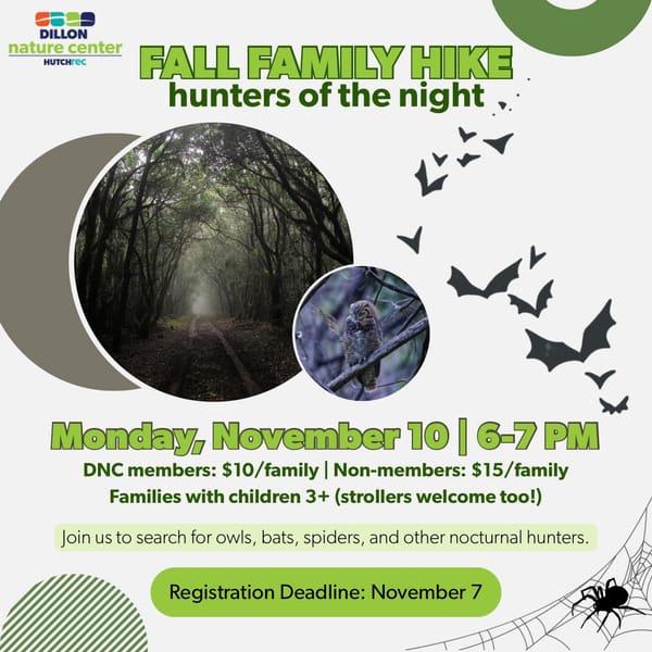 Nature Center offers nighttime hike to spot owls, bats, nocturnal wildlife
