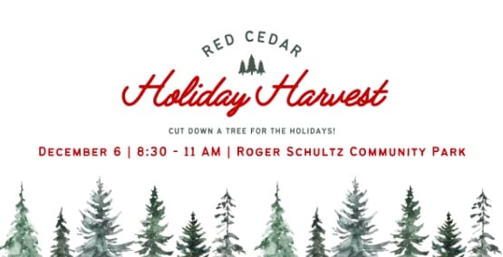 Free Christmas Tree Harvest Returns to Manhattan Park