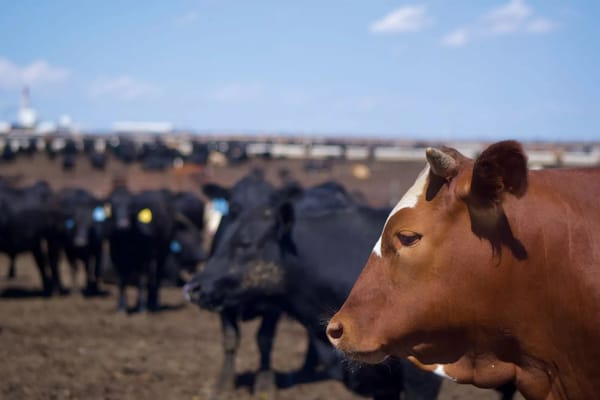 Top 5 Kansas news stories