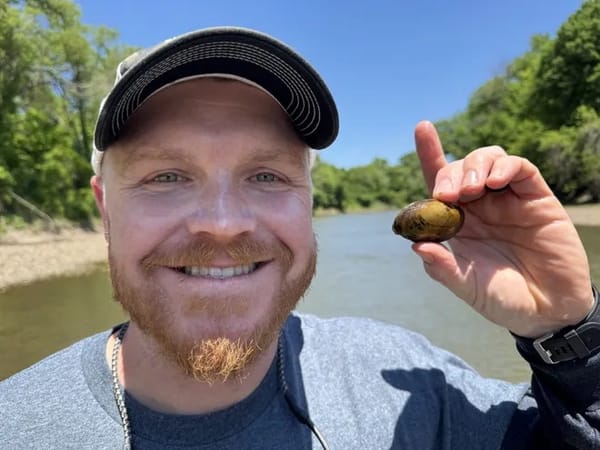 Top 5 Kansas news stories