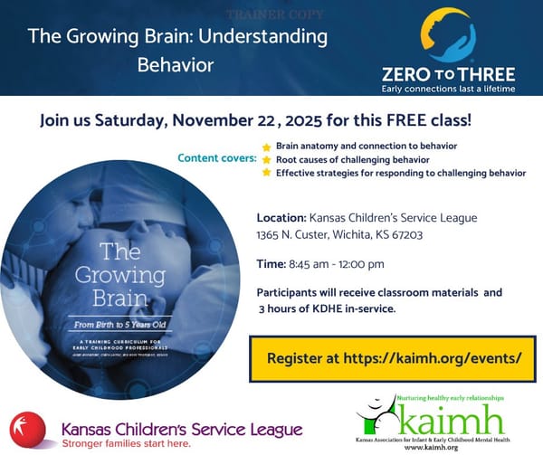 Child care professionals invited to free brain development class in Wichita