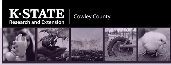 K-State Extension Offers Workshop Series for Local Food Producers