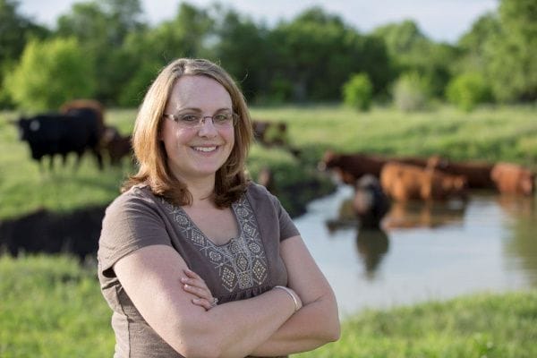 KFB Insight: Little lamb preparations