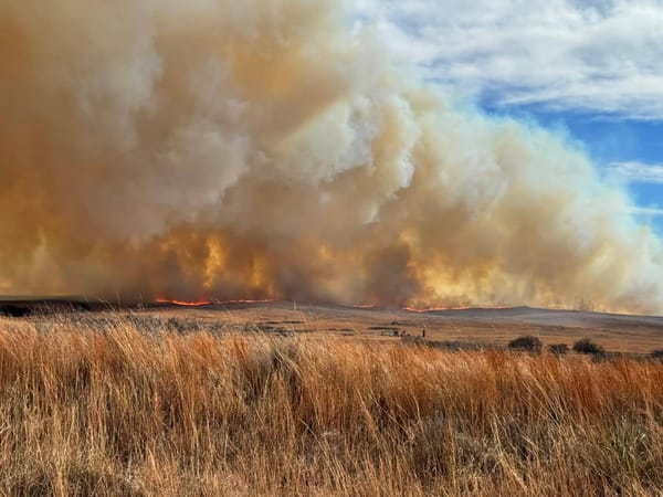 Top 5 Kansas news stories