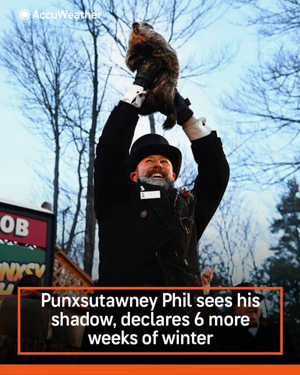 Top 5 US news stories