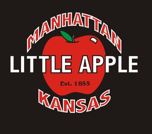 Manhattan City 2025 In Review