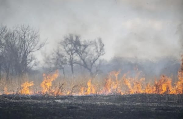 Top 5 Kansas news stories