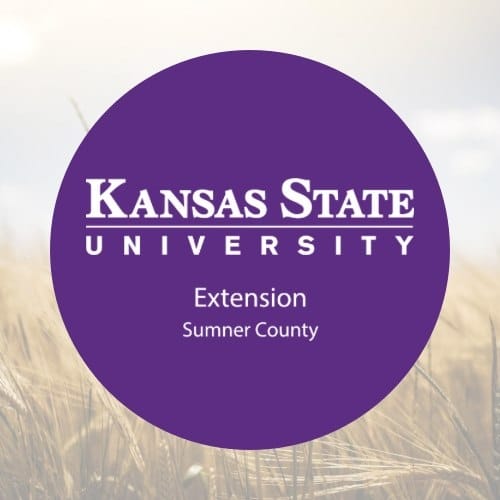 K-State Extension to Host Babysitting Clinic for Youth in Wellington