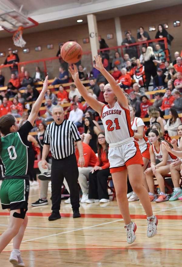 Four Bullpups Earn AVCTL D-III Girls Basketball Honors